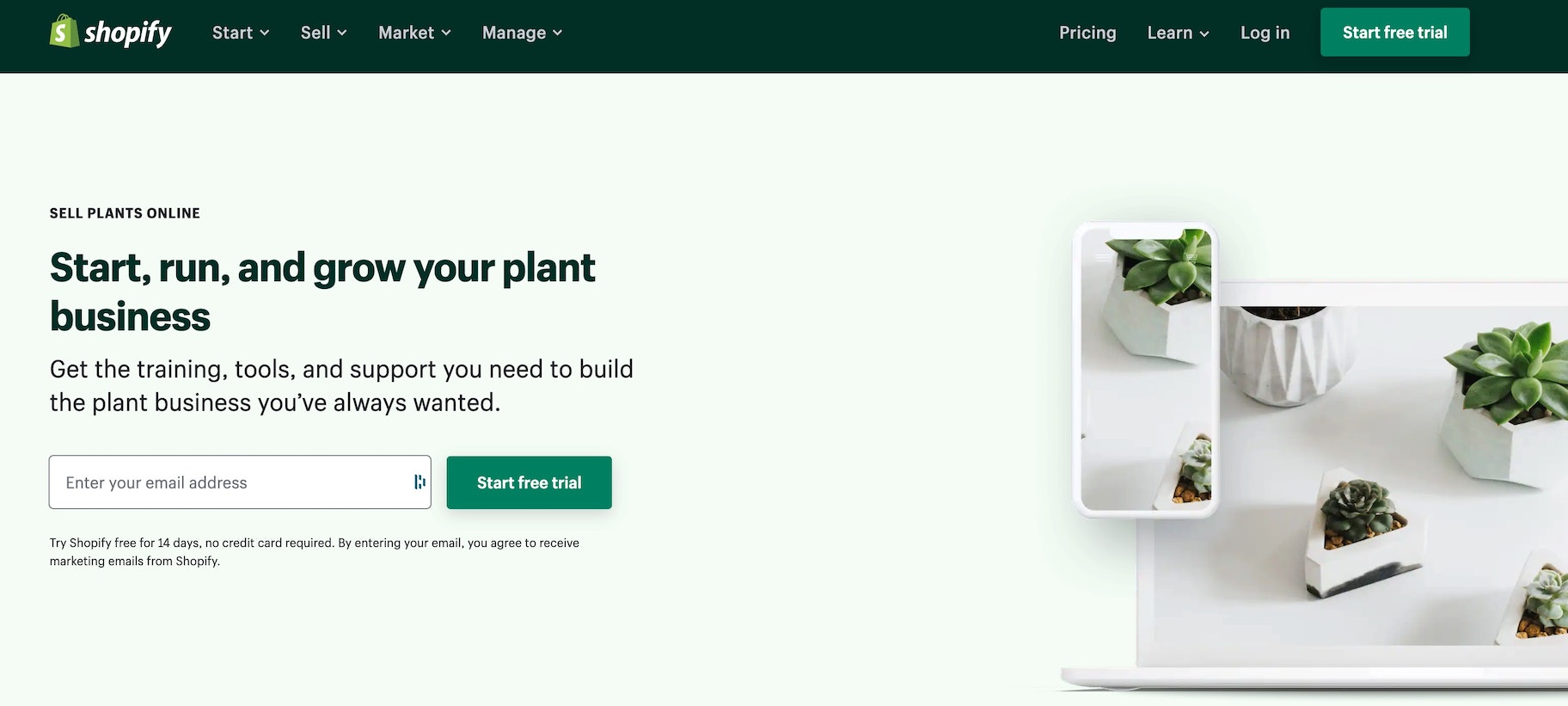 construye una tienda de plantas en línea con Shopify