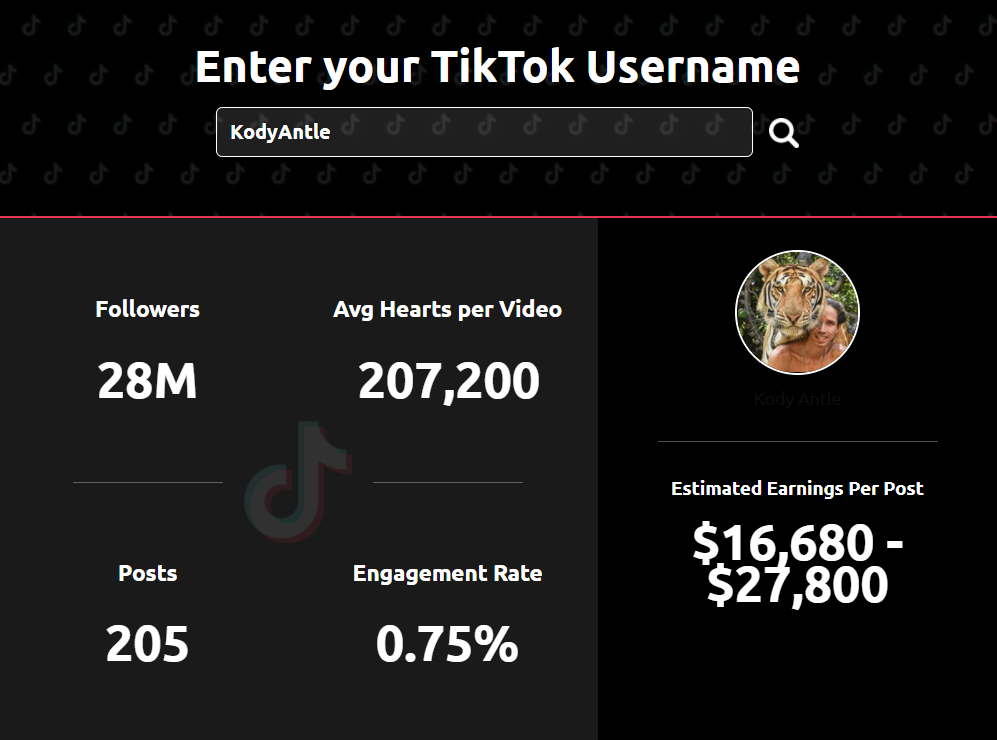 ¿Cuánto puedes ganar con TikTok?