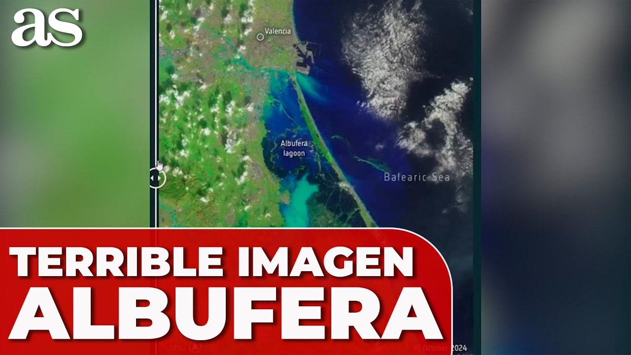 Albufera de Valencia: 7 razones para visitarla ahora mismo