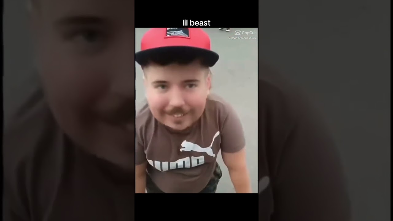 Lil beast mr beast 5 curiosidades que no conocías sobre él