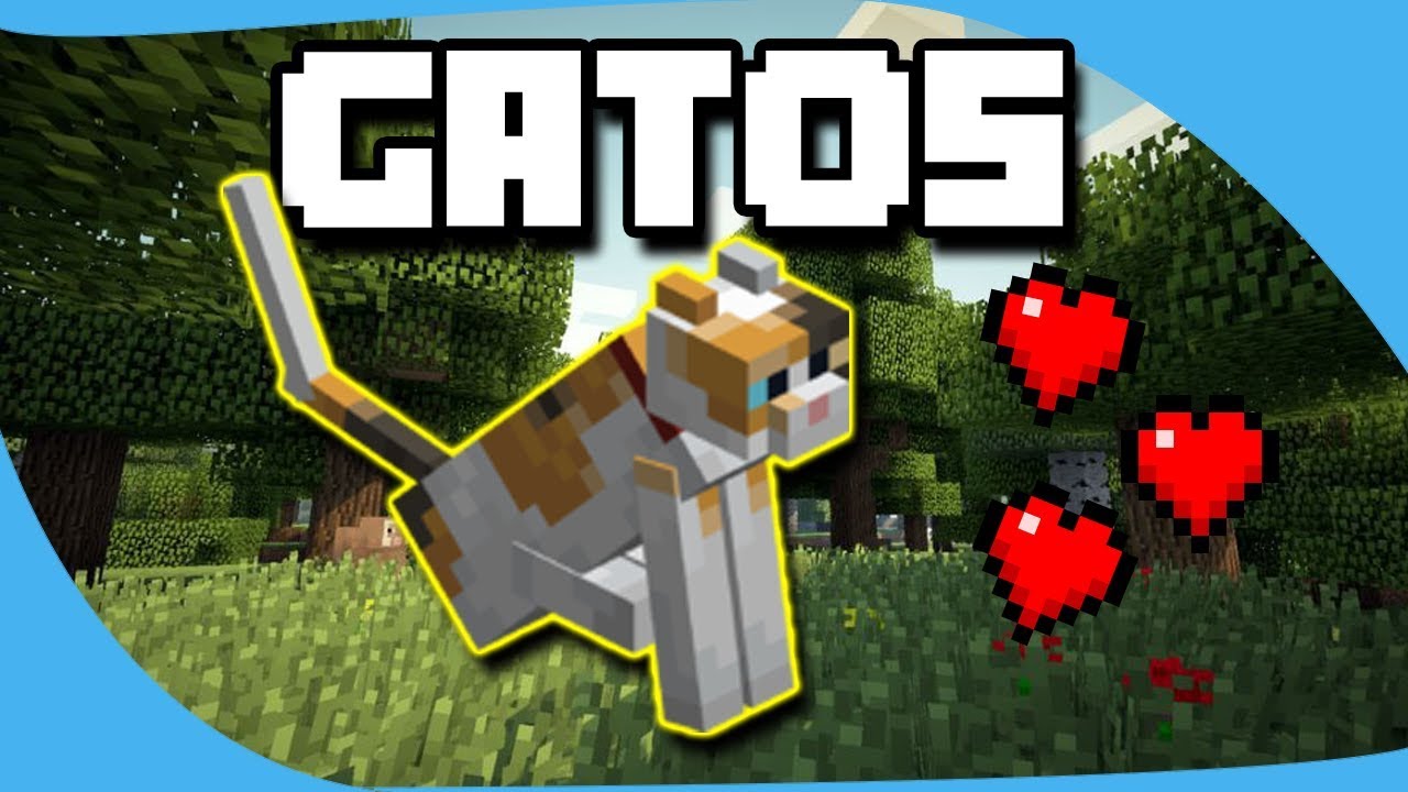 🥇 Como domesticar un gato en Minecraft: 7 pasos sencillos