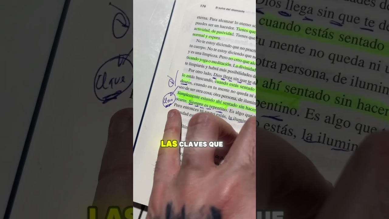 El mejor libro del mundo: 7 historias cautivadoras para 2025