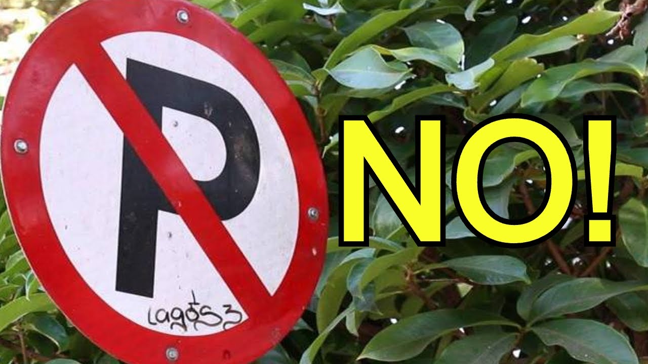 Señal prohibido parar y estacionar: 5 datos que debes saber